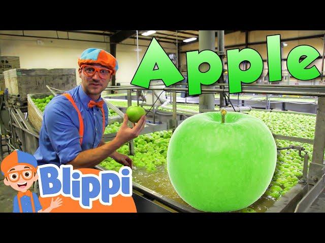 Learning Healthy Eating For Kids With Blippi At The Apple Factory  | Educational Videos For Toddlers