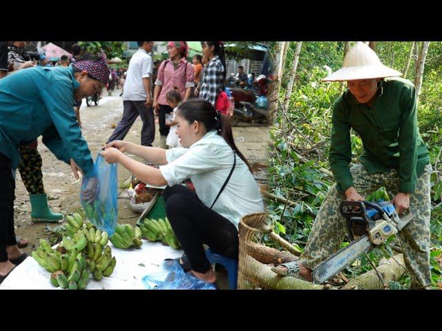 Nhi cuts bananas to sell at the market, Vuong works hard to earn extra income.