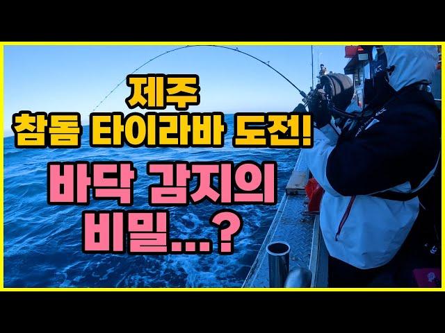 ｜제주 참돔 타이라바｜간단하게 바닥을 읽어보자! / 제주도 참돔 타이라바 タイラバ Light jigging Fishing