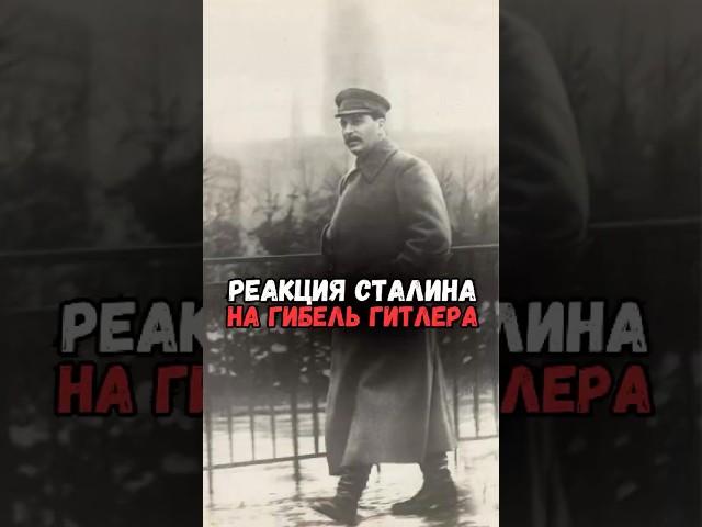 Что сказал Сталин после смерти Гитлера #история #факты #прошлое #познавательно #интересно #ссср