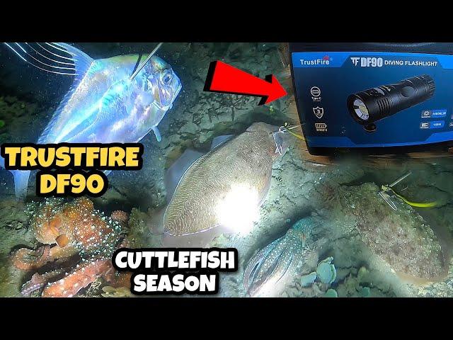 NIGHT SPEARFISHING WITH TrustFire DF90 DIVING FLASHLIGHT NAPAKAGANDA