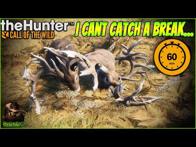 The Most DISASTROUS 60 Minute Trophy Challenge Ever... The Hunter Call of the wild