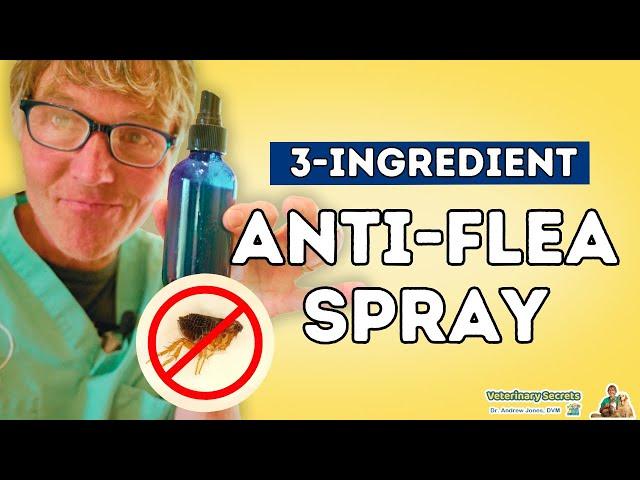 Dr. Jones's Flea Repellent Solution: 3 Simple Ingredients for an Effective and All-Natural Solution