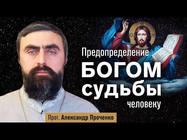 Предопределение Богом судьбы человеку (прот. Александр Проченко) @r_i_s