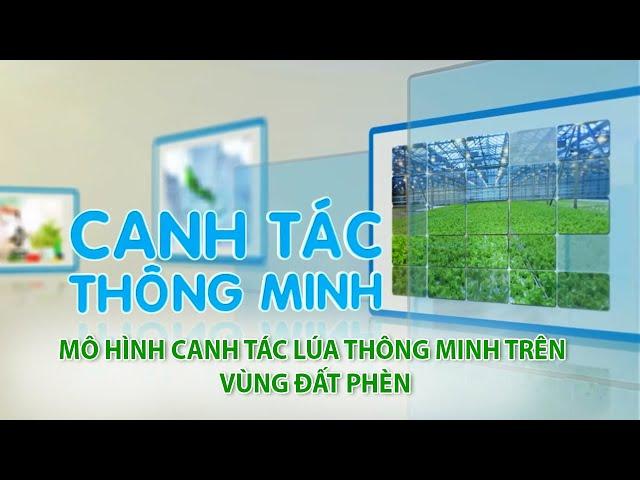 Canh tác thông minh | Mô Hình Canh Tác Lúa Thông Minh Trên Vùng Đất Phèn | VTV9