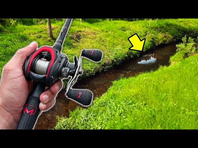 Fishing TINY Creek for Bass (Underwater Footage)