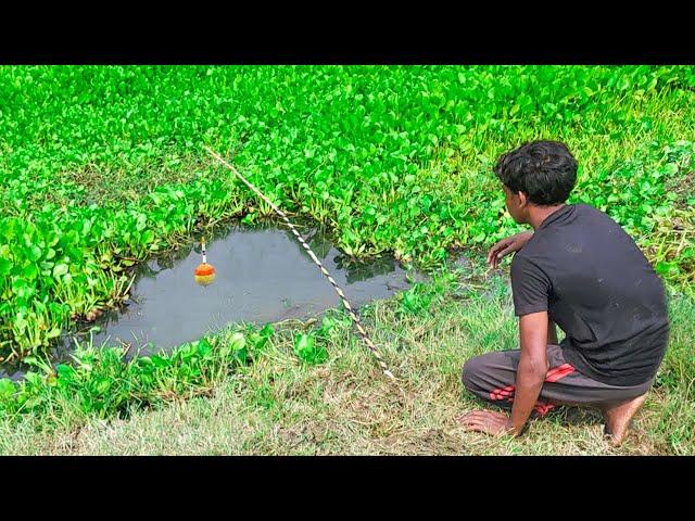 Amazing Hunting Big Fish By Hook In river | Best Hook Fishing Video