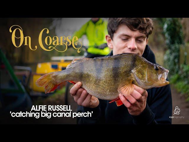 Catching BIG CANAL PERCH with Alfie Russell preview