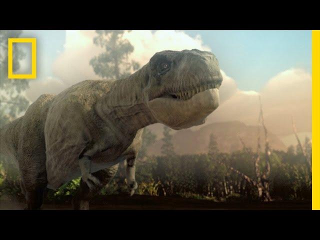 Jurassic CSI - Brain vs. Brawn | National Geographic