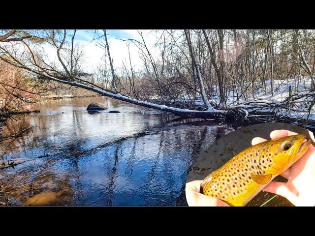 Fly Fishing for Late Winter Trout in Wisconsin | Wisconsin Fishing