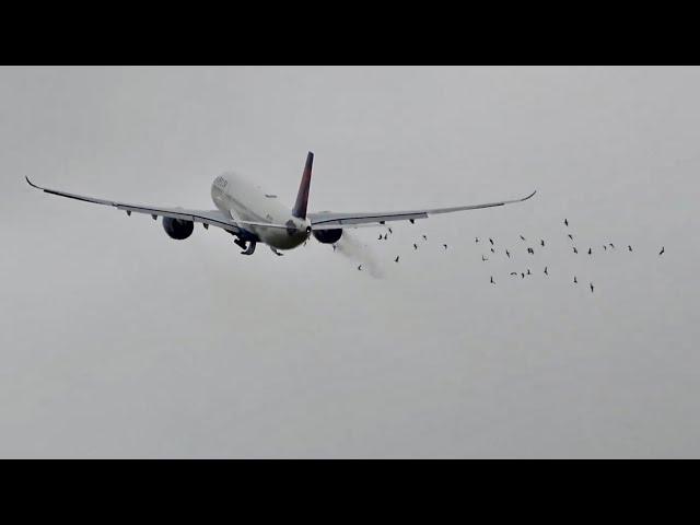 Delta A330 Takeoff Goes Wrong