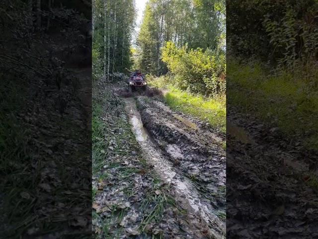#квадроцикл #brp #aodes #1000#квадрики #atv #прохват #offroad