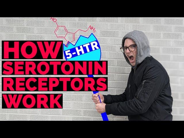 Serotonin Receptors | Types of Serotonin Receptors and Serotonin Receptor Pharmacology