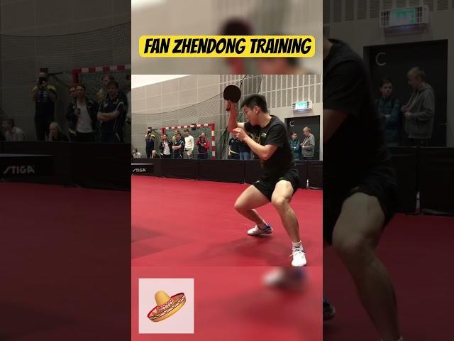 FAN ZHENDONG FOREHAND PERFECTION