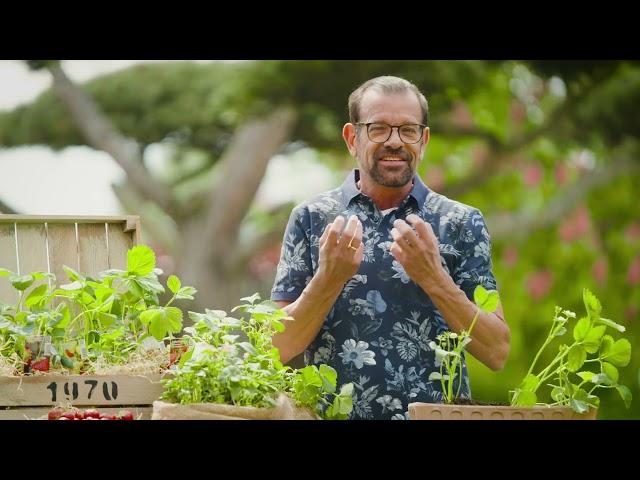 ORF Sendung "Natur im Garten" vom 18. Juni 2023