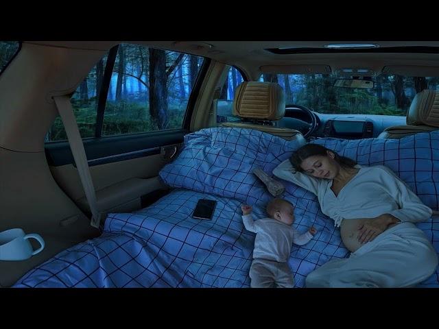 Sleep Immediately within 3 Minute with Rain on Windows of Car for Camping in Forest ️