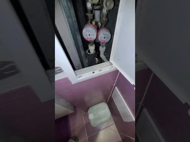 затопило из канализации первый этаж.