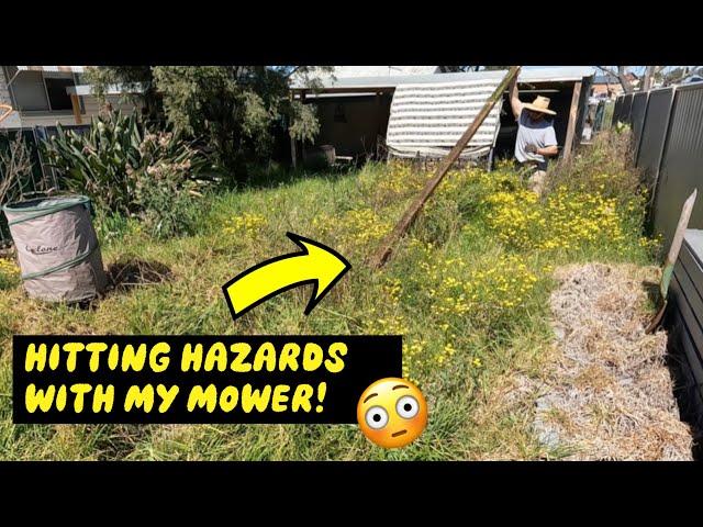 RESCUING this OVERGROWN yard! INCREDIBLE MAKEOVER results!