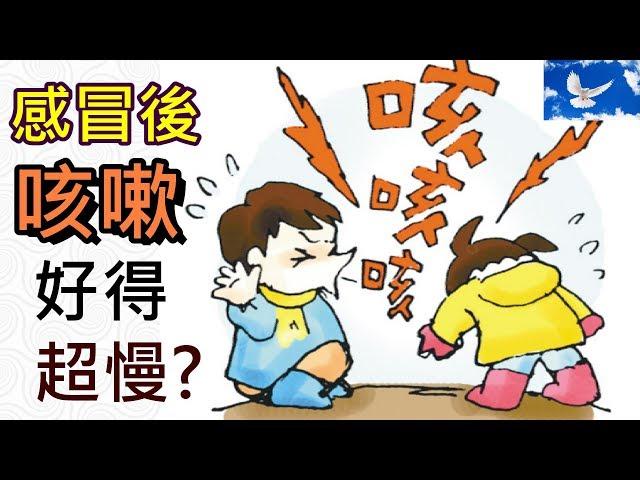 為何感冒後 咳嗽總好得特別慢? | 三分鐘聊醫學EP10