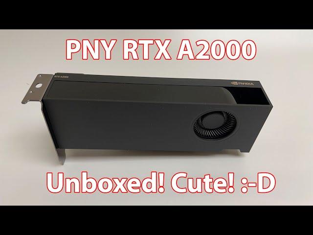 PNY RTX A2000 Nvidia Unboxed!