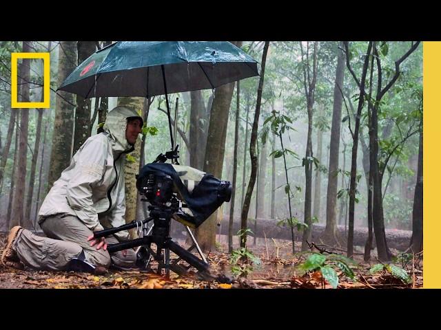 New Technologies: Making Wildlife Cinematography More Accessible | National Geographic