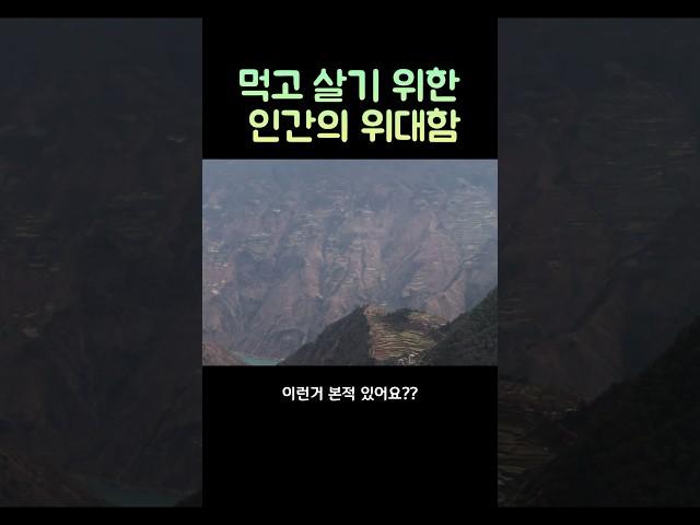 해발 3천미터 절벽에 자리한 논밭 ..#중국여행 #오지여행 #다랑논끝판왕