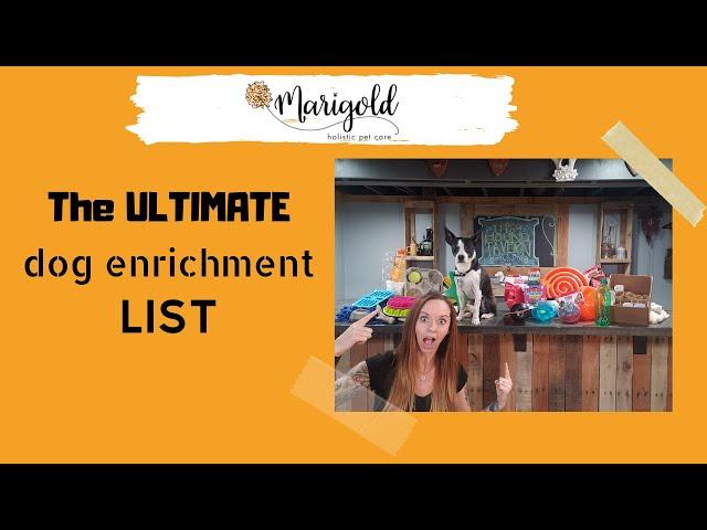 The ULTIMATE dog enrichment list