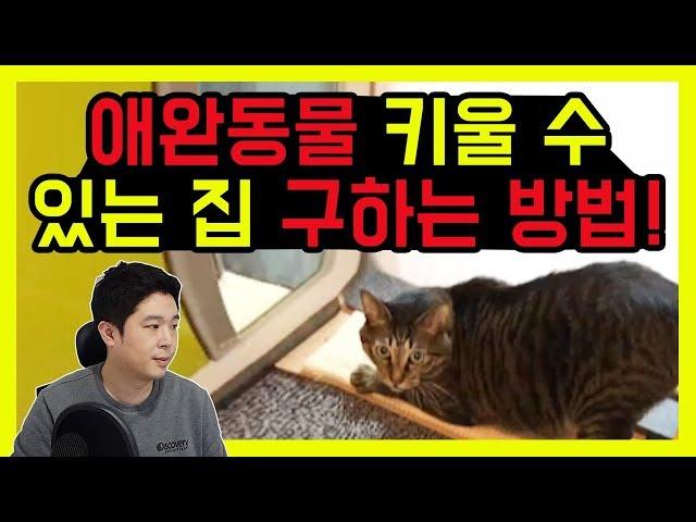 집구하기팁 / 애완동물(강아지,고양이) 키울 수 있는 집 구하는 방법! [덕방아재]