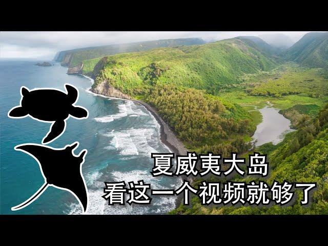 【Bund2Boro EP23】夏威夷大岛环岛一周后的推荐，看这一个视频就够了！Big Island Hawaii Top Spots to Hit