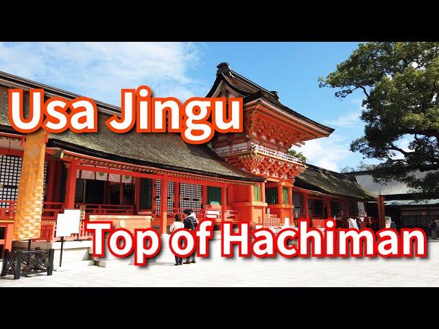 [4K] Walk in Usa Jingu - Top of Hachiman Shrines in Japan【Japanese Shinto Shrine Tour #7】