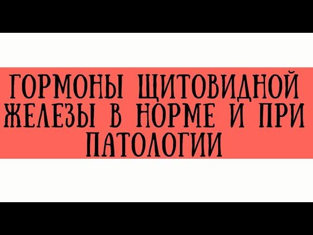 Гормоны щитовидной железы в норме и при патологии - meduniver.com