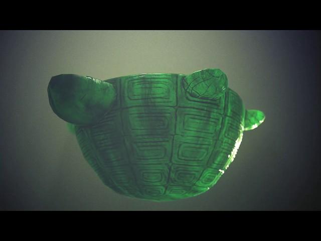 Nephritis Turtle