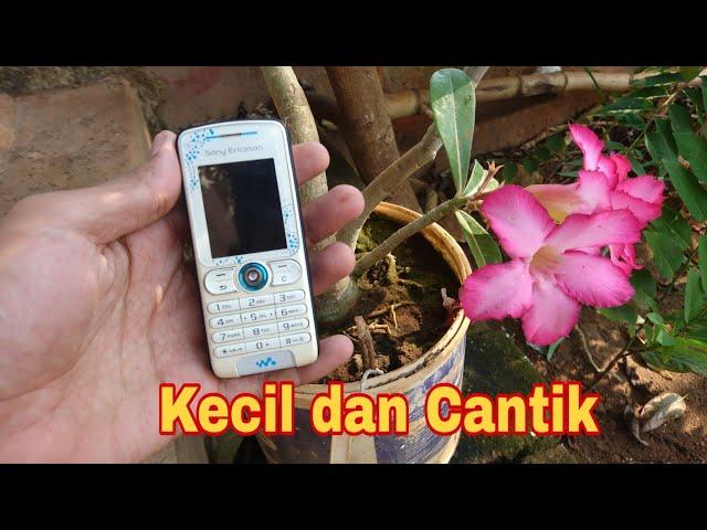 Unboxing Sony Ericsson W200i dapat dari Lelang