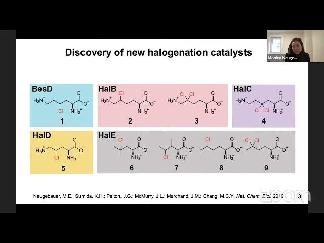 Monica Neugebauer – Conversion of a hydroxylase to a halogenase through reaction pathway engineering