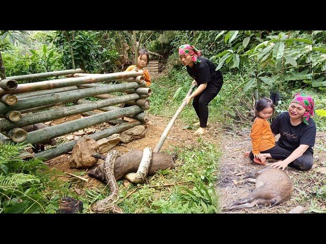 The life of an 18-year-old single mother listens to the screams of wild boars and results