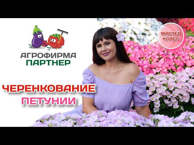 Черенкование петунии | Мастер - класс Марины Патриной | #петуния #цветывсаду #зацветёт