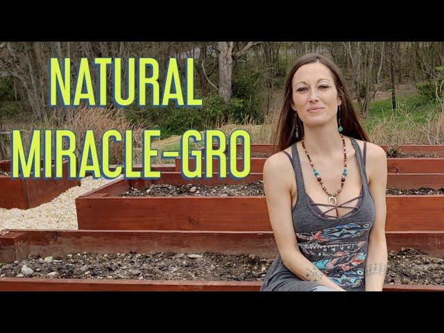 ANCIENT MIRACLE-GRO NATURAL GARDENING USING WOOD ASH