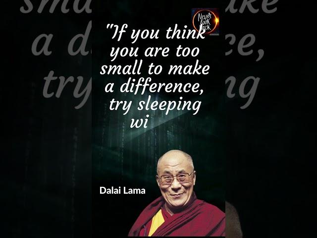 Embracing the Power of Influence Small Actions, Big Impact  Dalai Lama Wisdom