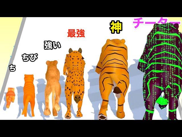 ムキムキに育てたネコがどうぶつ園を作るゲームが面白い【 Cat Evolution 】