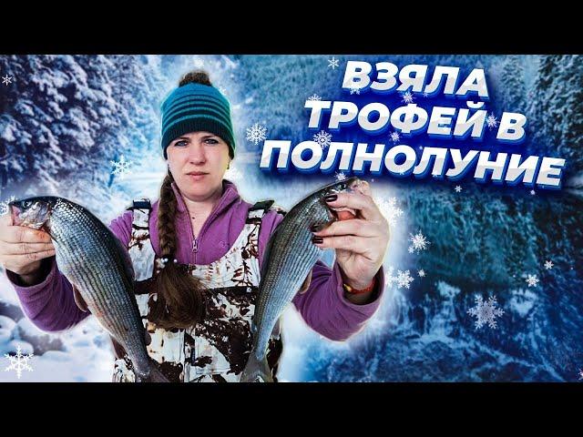 Рыбалка на Печоре в полнолуние / Она опять взяла трофей