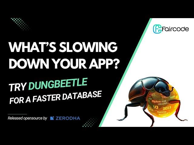 What’s Slowing Down Your App? Discover DungBeetle for a Faster Database