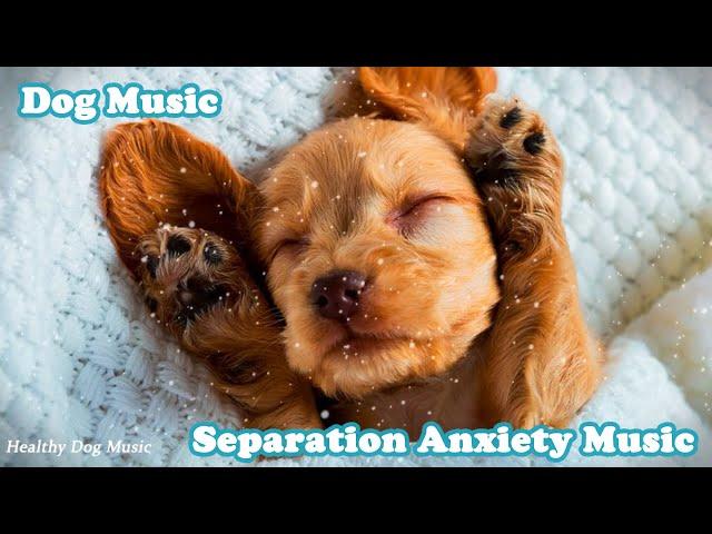 Healing Music for Dogs | Separation Anxiety Relaxing Music | Relaxing Music