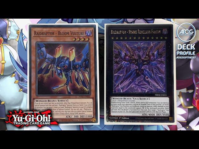 Yu-Gi-Oh! Insane!!! RAIDRAPTOR Deck Profile - Post PHANTOM NIGHTMARE (February 2024)