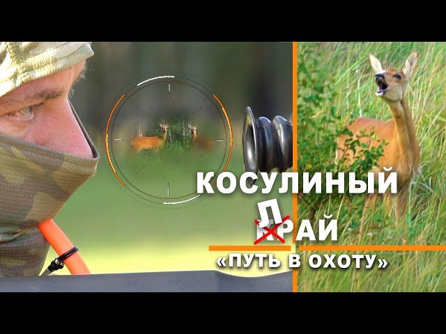На косулю с манком