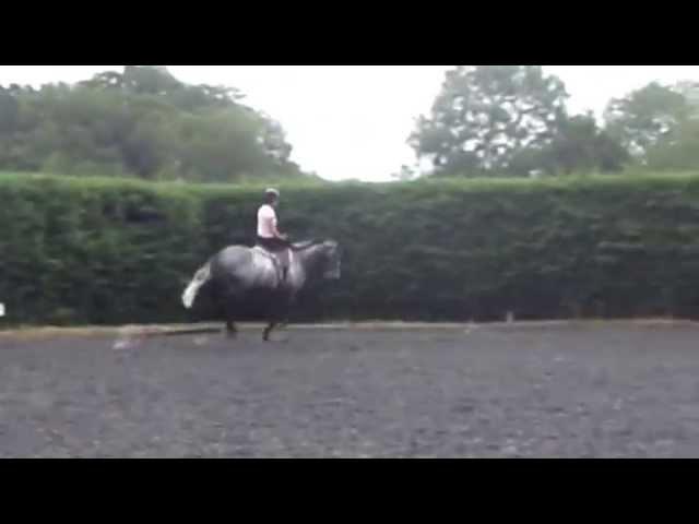 Cosmic Curious first time side saddle