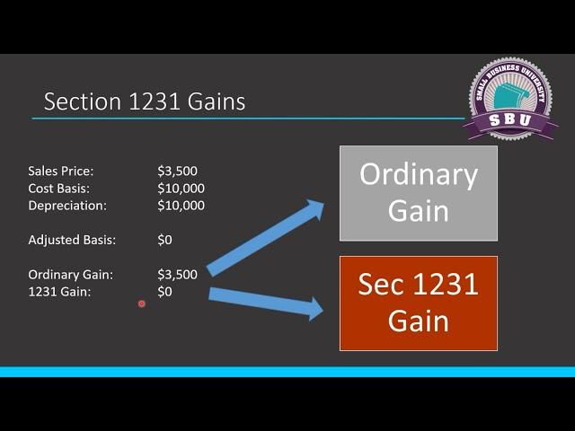 Asset Gain & Loss: Everything You Need To Know