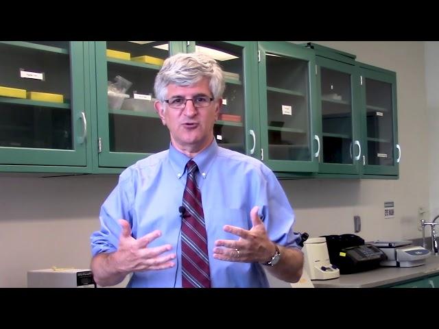 How are Animals Essential to Research?     Vaccine Makers Project