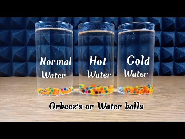 Water balls in hot,cold and normal water which will grow faster?