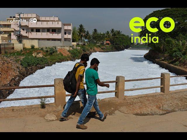 Eco India: How Bengaluru’s polluted lakes are affecting its food chain