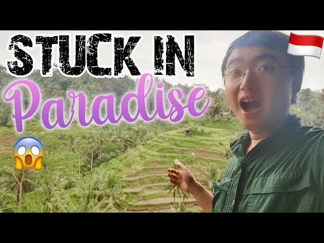 I was TRAPPED in Bali, and it turned out to be the best thing ever happened (detailed guide)